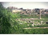 Ephesus - Remains of the Temple of Artemis, one of the 7 wonders of the ancient world. Stones of Diana`s Temple strew the Ephesian swamp. Relics of the temple rise above the now marshy ground,